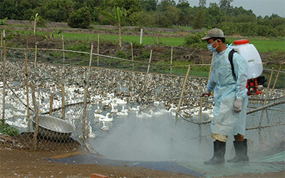 Công cụ pháp lý quan trọng để phát triển bền vững