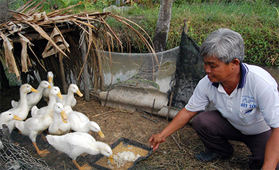 Bạc Liêu giúp người nghèo tự thoát nghèo