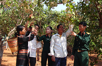 Hiệu quả từ “chiếc cần câu” của bộ đội 74