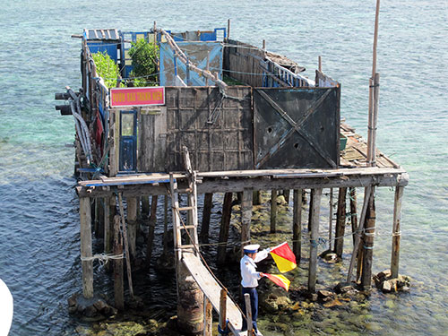 Trồng rau ở nơi không có đất