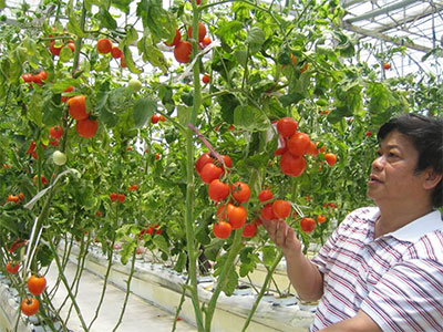 Nền nông nghiệp điện tử