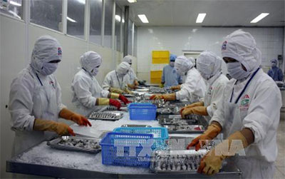 Cú cán đích ấn tượng