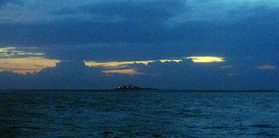 Trồng quất Tết trên đảo Trường Sa Đông