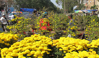 Tây Nguyên đón Xuân vui tươi và tiết kiệm