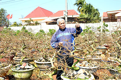 Xuân này Hòa Thắng được mùa mai