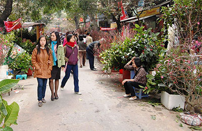 Thời tiết dịp Tết có thuận lợi để du Xuân?