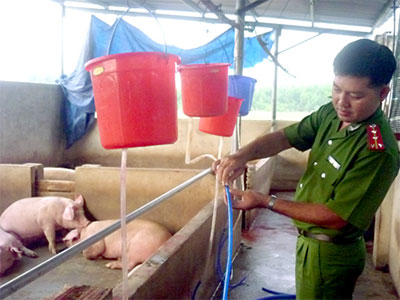 Phá các vụ bơm nước vào lợn thịt quy mô lớn