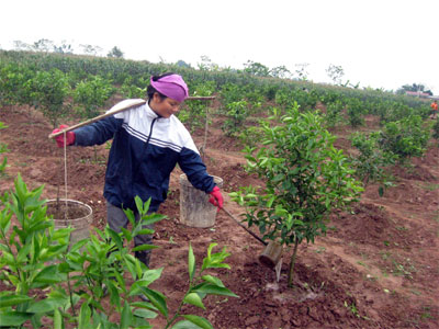 Hà Nội cán mốc nhiều mục tiêu