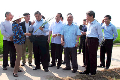 Để xây dựng nông thôn mới ở Phú Thọ bền vững