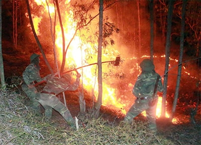 Hai ngày đêm dập lửa cứu rừng