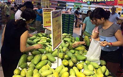 Thay đổi thói quen tiêu dùng để bảo vệ môi trường