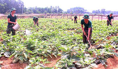 Nuôi quân khỏe ở Tiểu đoàn 4