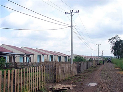 Công ty 715 (Binh đoàn 15): Nâng cao chất lượng sản phẩm, bảo đảm đời sống người lao động