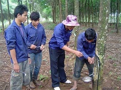 Bài 3: Hướng tới phát triển bền vững (Tiếp theo và hết)