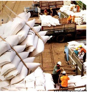 Xuất khẩu gạo năm nay có thể đạt 7,5 triệu tấn 