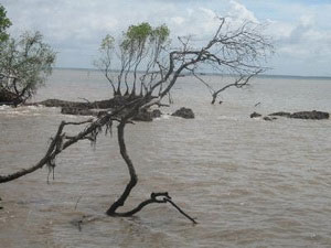 Ủy ban Thường vụ Quốc hội cho ý kiến về 2 chương trình môi trường