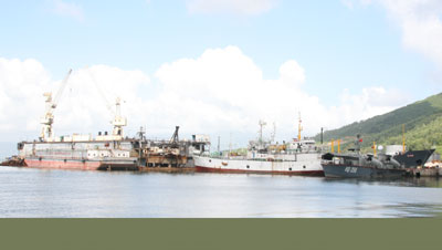 Vững bước bên bờ sóng