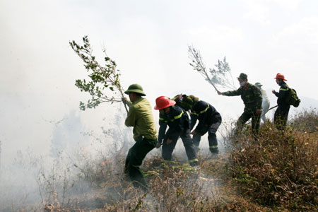 Linh hoạt huy động lực lượng và xử lý các tình huống