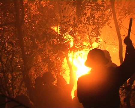 Bộ đội đặc công 409 chữa cháy rừng phòng hộ đèo Đại La