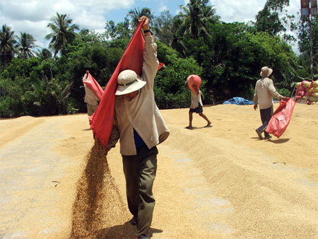 Vì sao nhà nông thờ ơ?