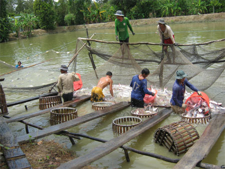 Động lực để xây dựng nông thôn mới