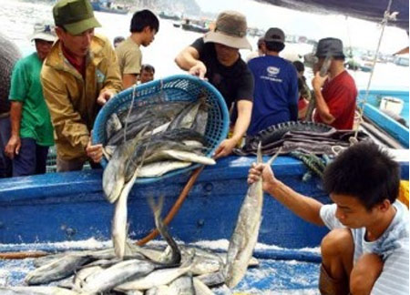 Xuất khẩu thủy sản: “Chông chênh” chặng đường phía trước