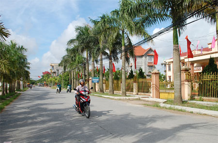 Phong trào do dân (Bài 2)