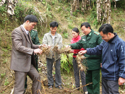 Bộ đội Dương - 