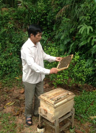 Thoát nghèo nhờ nuôi ong lấy mật 