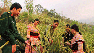         Sử dụng hiệu quả nguồn vốn vay ưu đãi