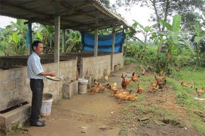 Người chiến sĩ làm giàu từ “đất cằn, sỏi đá”