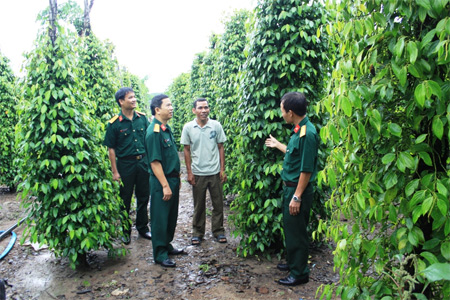 Thế vững nơi biên cương Tổ quốc