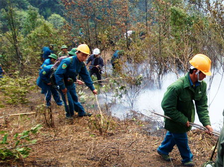 Chủ động hiệp đồng, lập công thời bình
