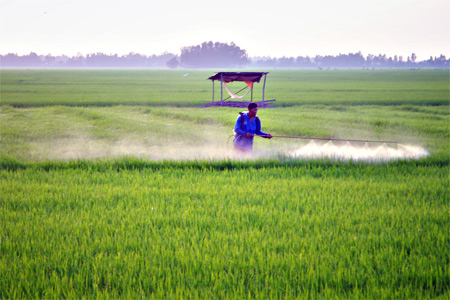 Các nhà sản xuất chối bỏ trách nhiệm