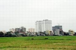 Nghị định mới quy định về giá đất 