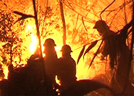 Trắng đêm dập lửa trên núi Bà Hỏa