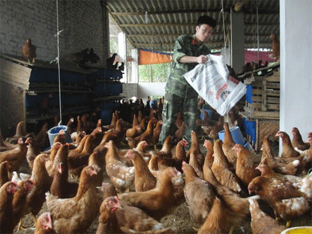 Phong trào tăng gia, sản xuất ở Trung đoàn 12