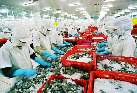 Tháo gỡ khó khăn, mở rộng thị trường xuất khẩu 