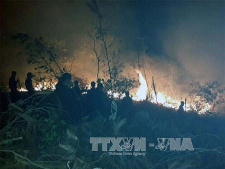 Cháy lớn thiêu rụi 6 hécta rừng