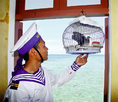 Tiếng chim cu gáy giữa trùng khơi