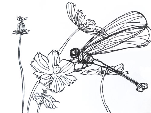 Đôi mảnh ký ức