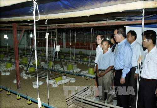 Thu nhập của xã viên là thước đo hiệu quả hoạt động hợp tác xã 