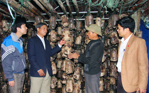 Bài 2: Xác định trọng tâm, tập trung lãnh đạo