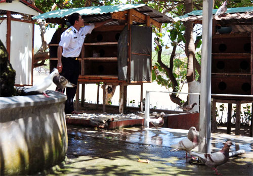 Cánh chim hòa bình trên đảo Song Tử Tây