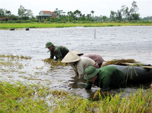 Chủ động phòng, chống thiên tai