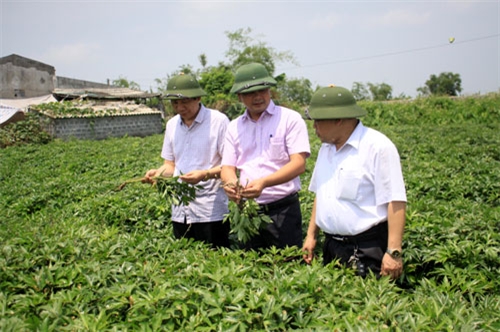 Giải pháp từ khoa học và công nghệ