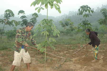 Tiếp sức hồi sinh Tân Hóa