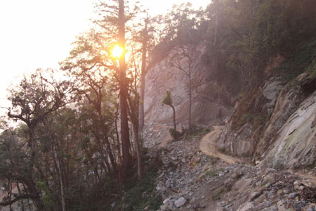 Hy sinh trên đỉnh Trường Sơn