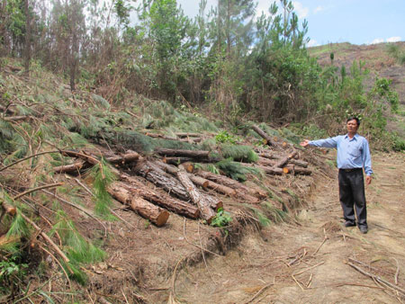 Cái sai cần sửa từ gốc
