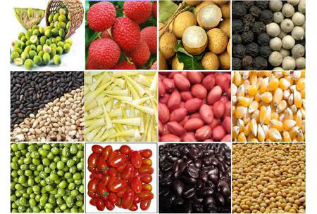 Hoan nghênh Hoa Kỳ cấp giấy phép nhập khẩu một số hàng nông sản Việt Nam